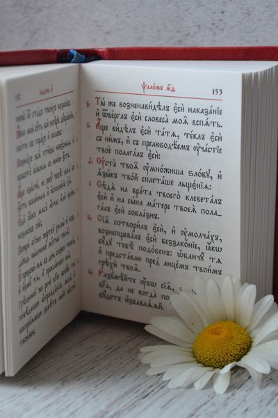 Псалтир 11,5*8,5 см кишеньковий, церковно-слов'янська мова (червоний) 12471-mk фото
